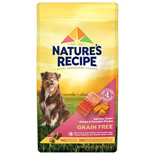 Best Grain Free Dog Food For Skin Allergies - 2026 Reviews - Petsteria