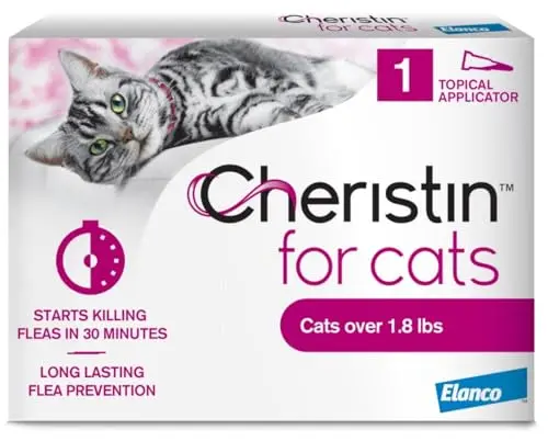 Curated visual reference: Picture Idea: Best Treatment For Fleas On Cats 2026 Reviews