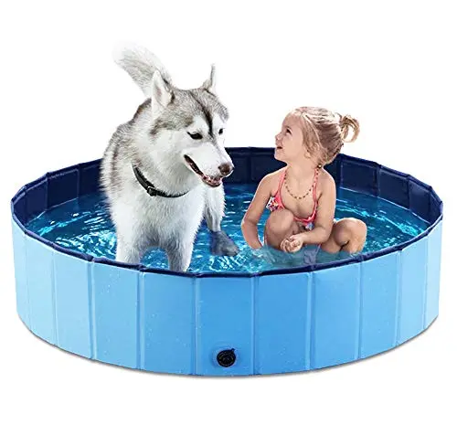 Best Swimming Pools For Dogs - 2026 Reviews - Petsteria