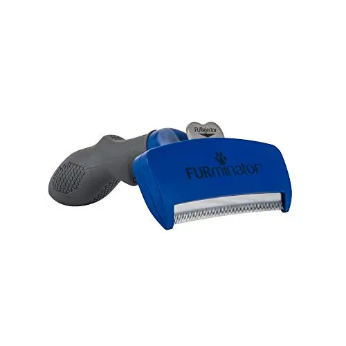 Best Dog Brush For Labradors - 2026 Reviews - Petsteria