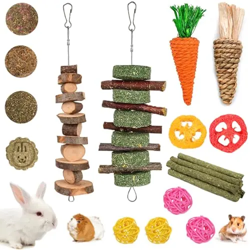 Best Toys For Guinea Pigs - 2026 Reviews - Petsteria