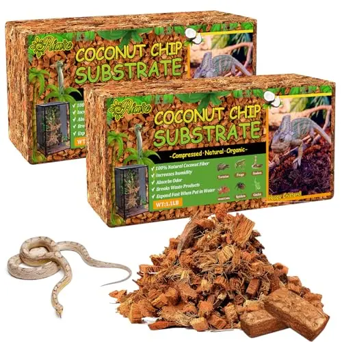 Best Snake Bedding For Ball Python - 2026 Reviews - Petsteria