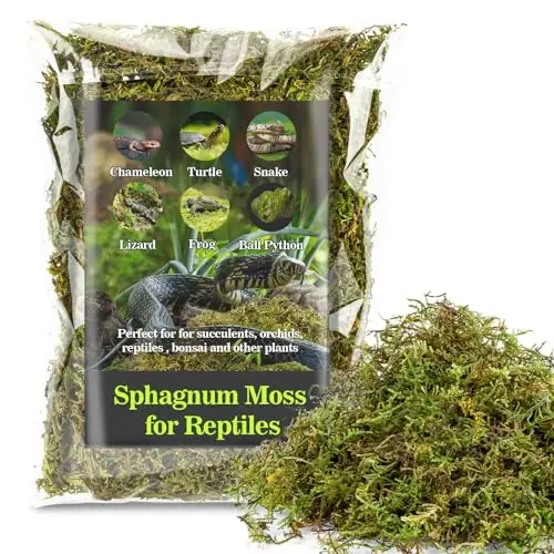 Best Snake Bedding For Ball Python - 2026 Reviews - Petsteria