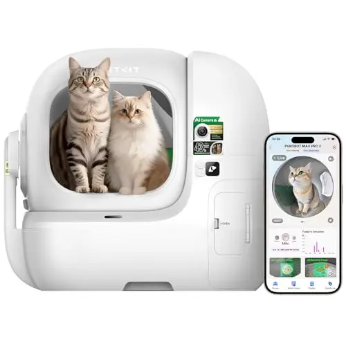 Best Litter Box For Odor Control - 2026 Reviews - Petsteria