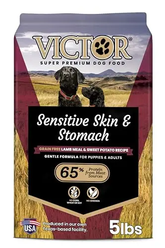 Best Grain Free Dog Food For Skin Allergies - 2026 Reviews - Petsteria