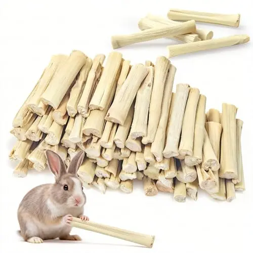 Best Chew Toys For Rabbits - 2026 Reviews - Petsteria